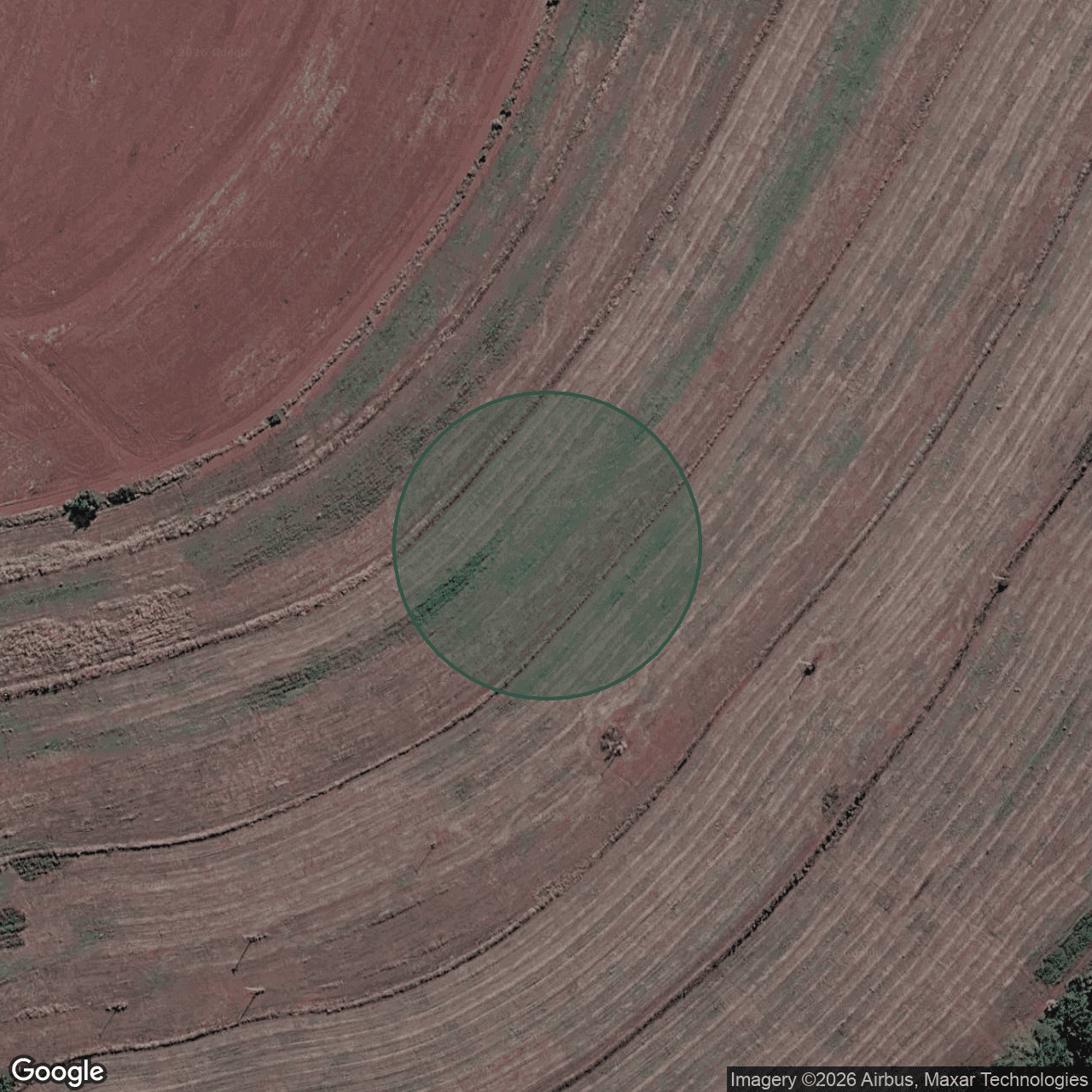Terreno em Ribeirão Preto — 351.000 m² — foto 1 de 3