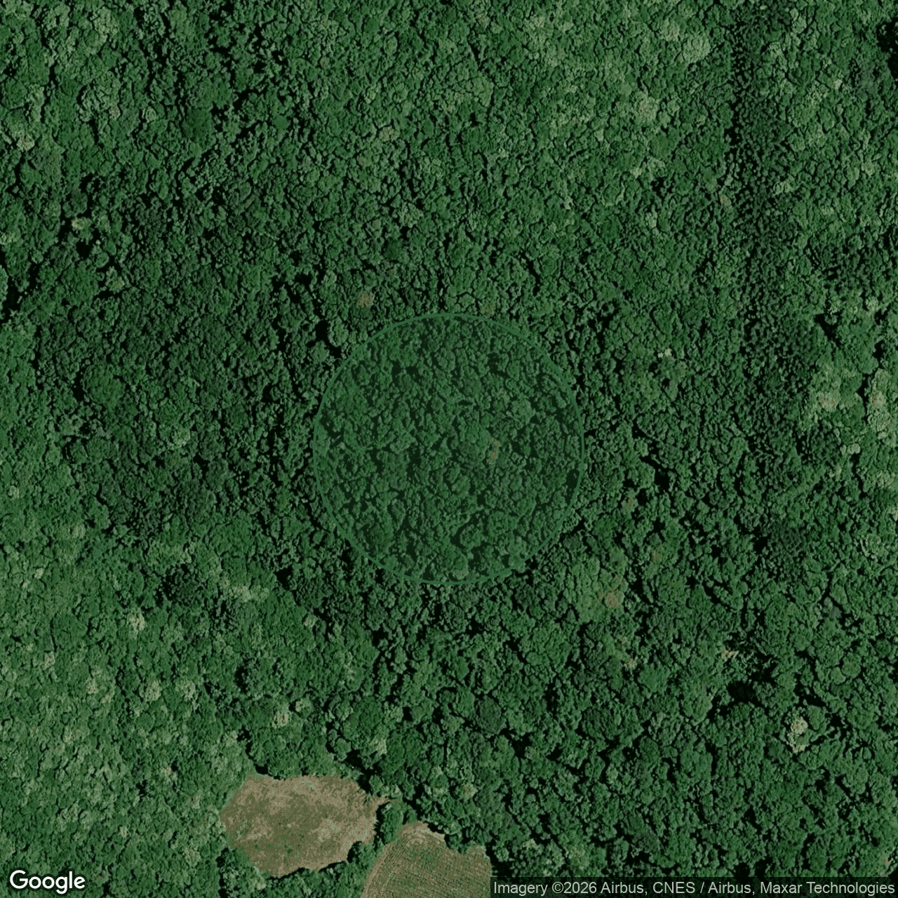 Terreno em Caxias do Sul — 360.000 m² — foto 1 de 3