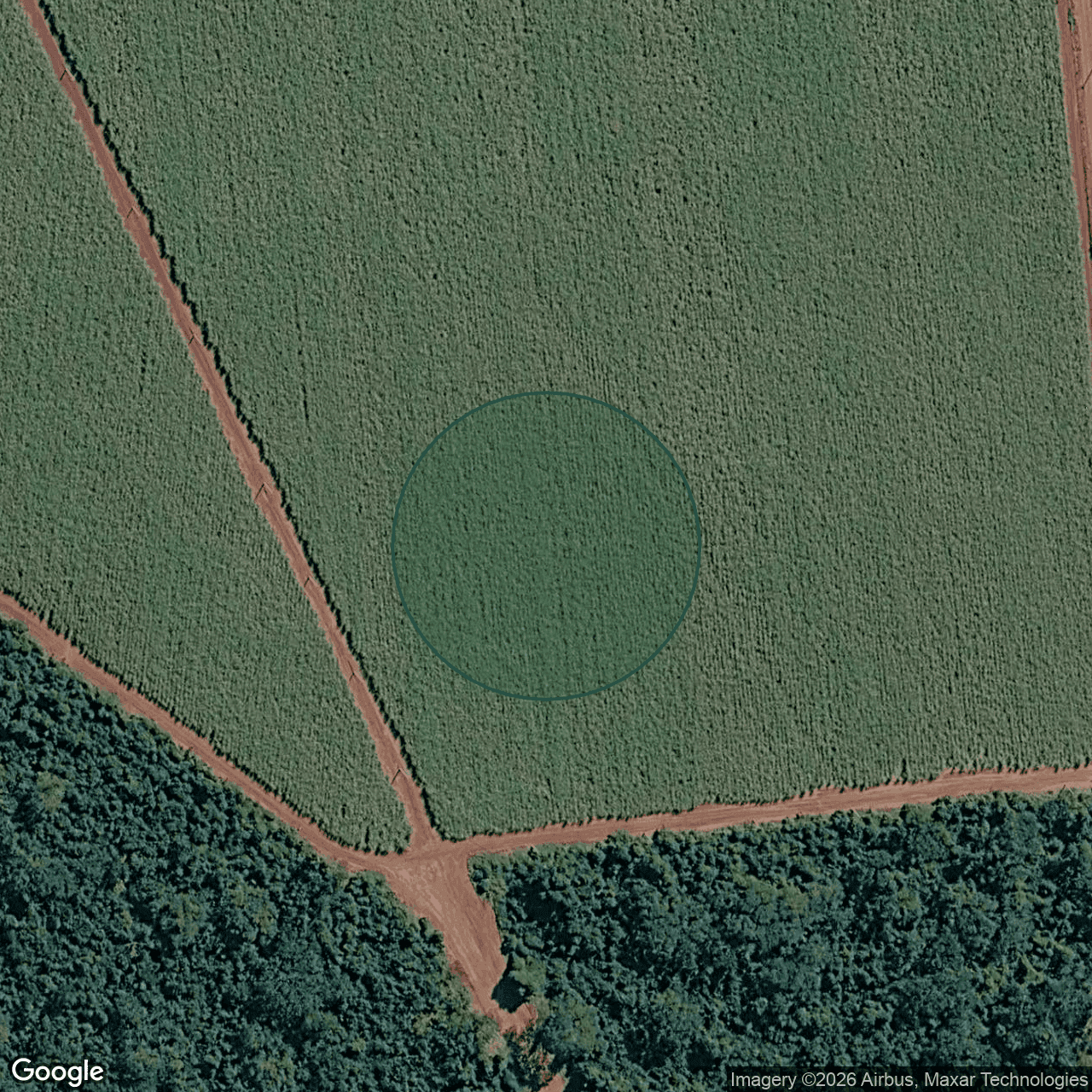 Terreno em Serra Azul — 500 m² — foto 1 de 3