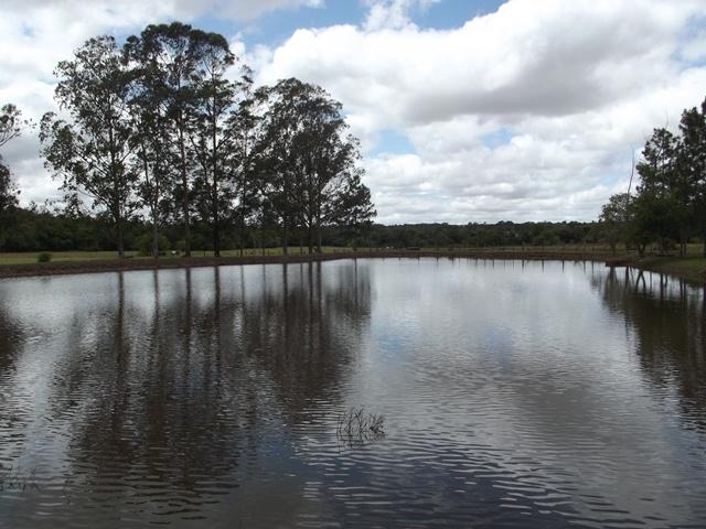 Propriedade rural em Cesário Lange — 31 ha — foto 1 de 12