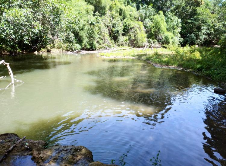 Propriedade rural em Bonito — 500 ha — foto 1 de 12