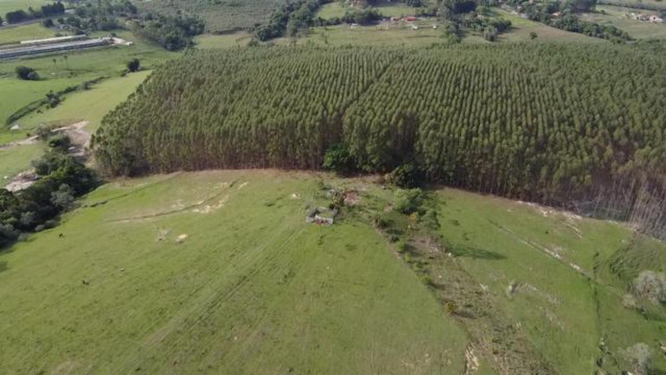 Propriedade rural em Itapetininga — 31 hectares — foto 1 de 12