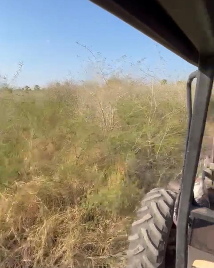 Propriedade rural em Corumbá — 1.175 ha — foto 1 de 12
