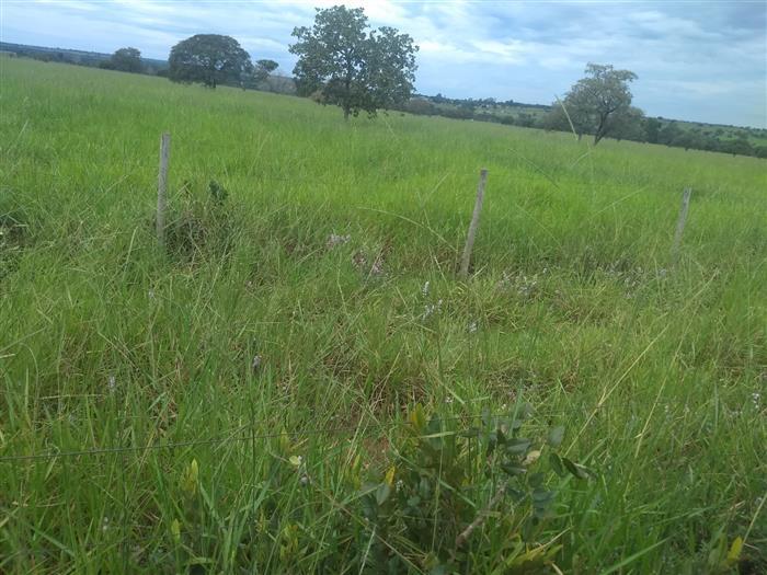 Propriedade rural em Corguinho — 398 ha — foto 1 de 12