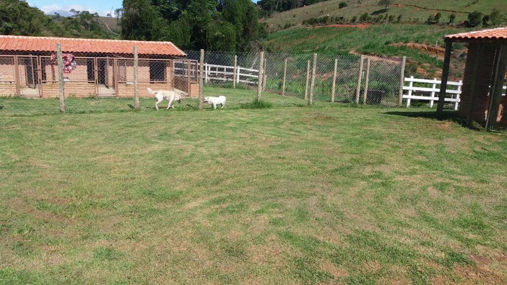 Propriedade rural em Cunha — 111 ha — foto 1 de 12