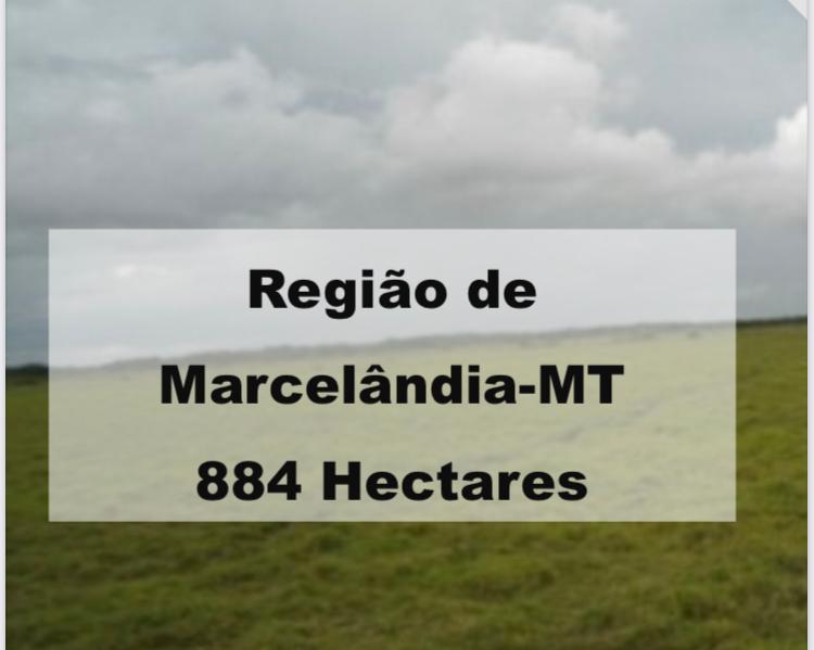 Propriedade rural em Marcelândia — 884 hectares — foto 1 de 6