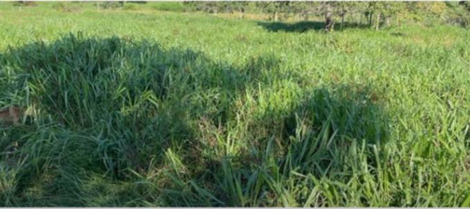 Propriedade rural em Miranda — 1.750 ha — foto 1 de 7