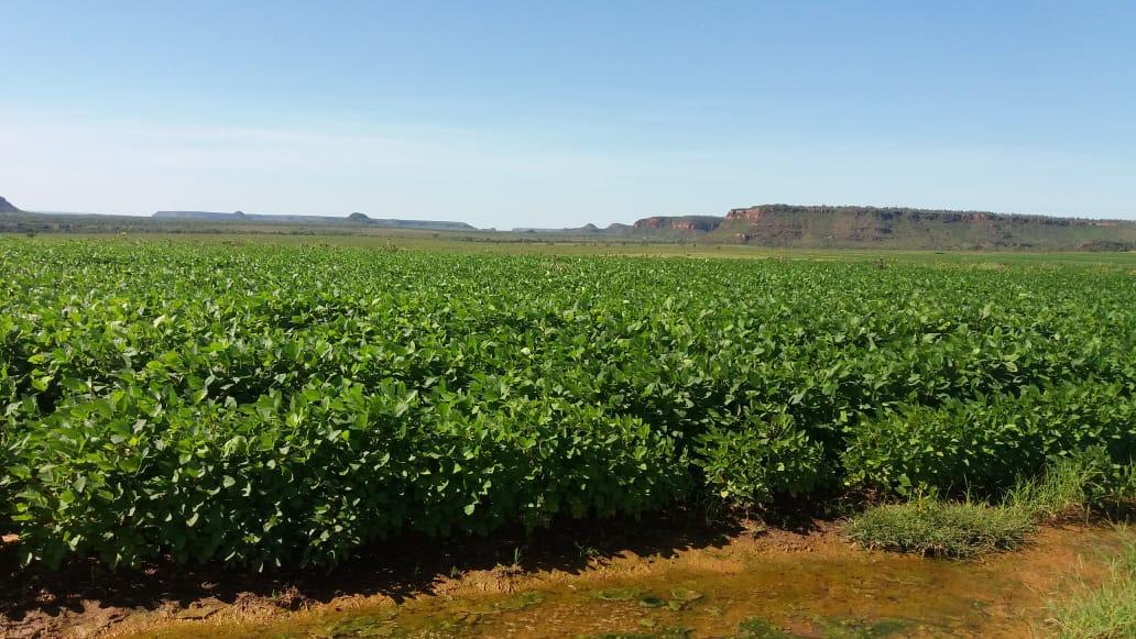 Propriedade rural em Alto Parnaíba — 1.789 ha — foto 1 de 12