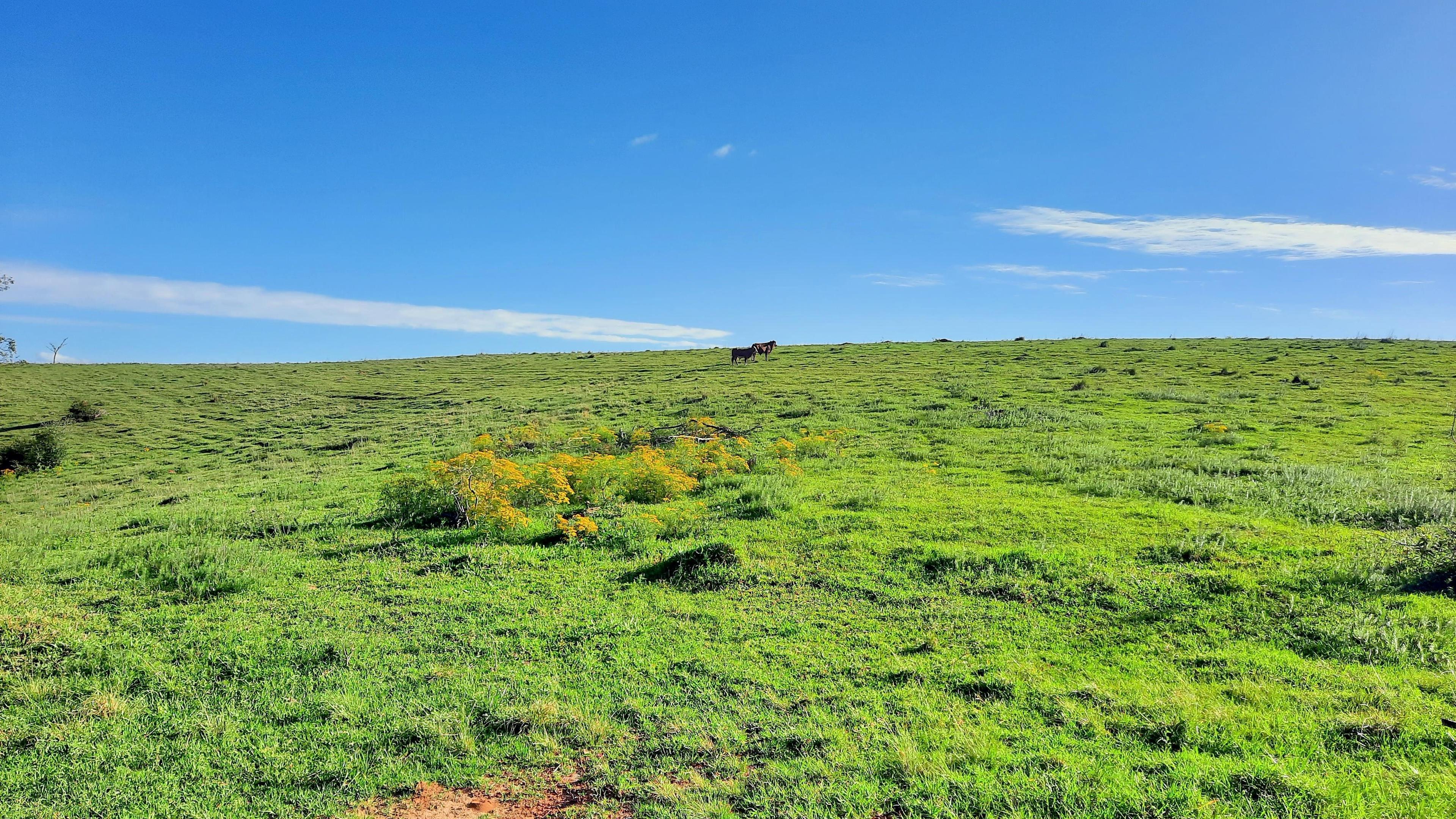 Propriedade rural em Viamão — 262 ha — foto 1 de 4