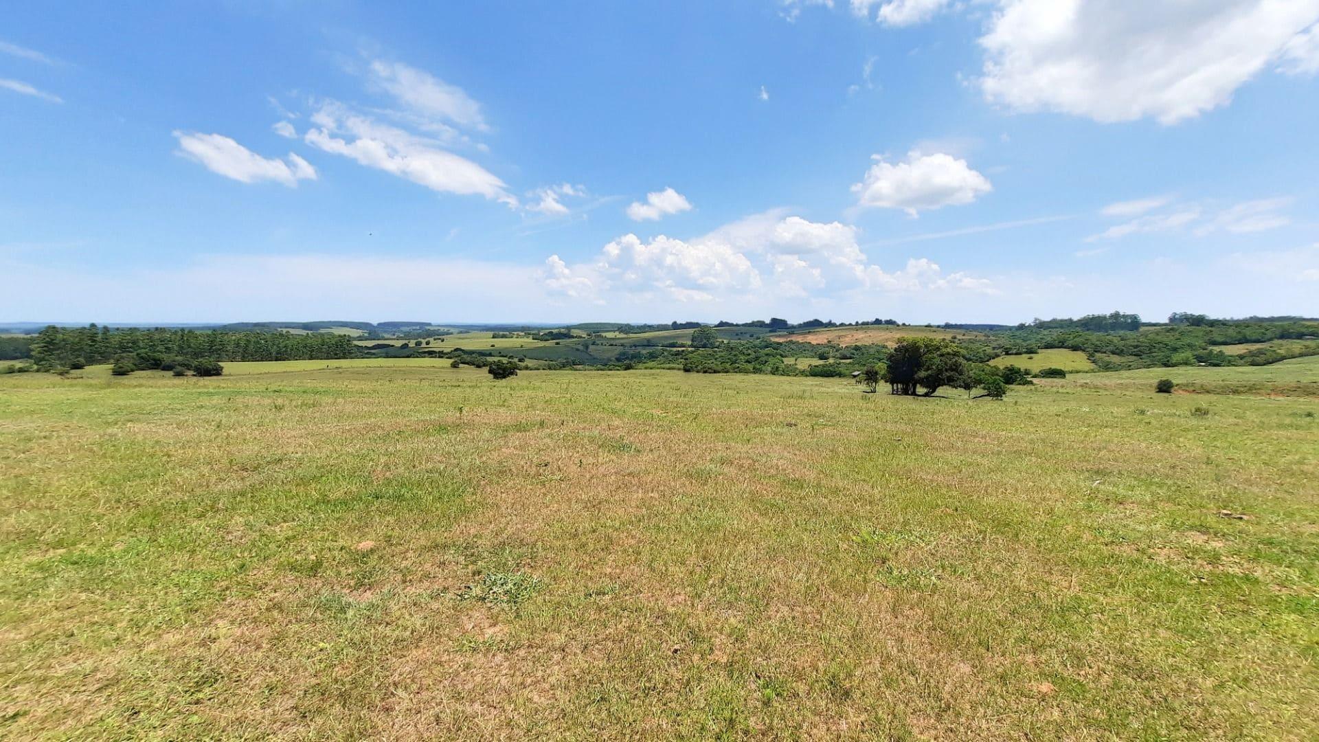 Propriedade rural em Viamão — 98 ha — foto 1 de 12