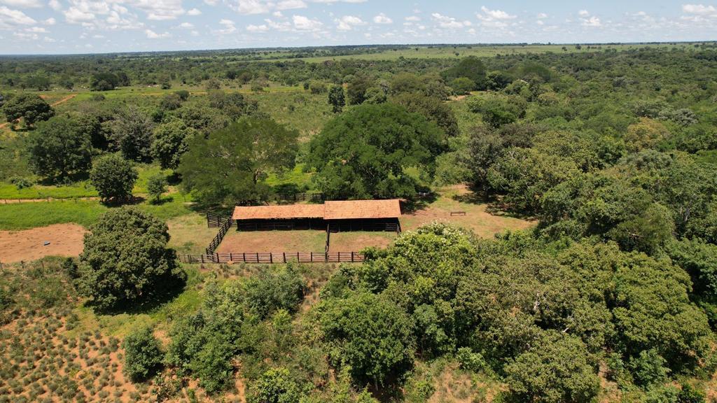 Propriedade rural em Novo Planalto — 968 ha — foto 1 de 12