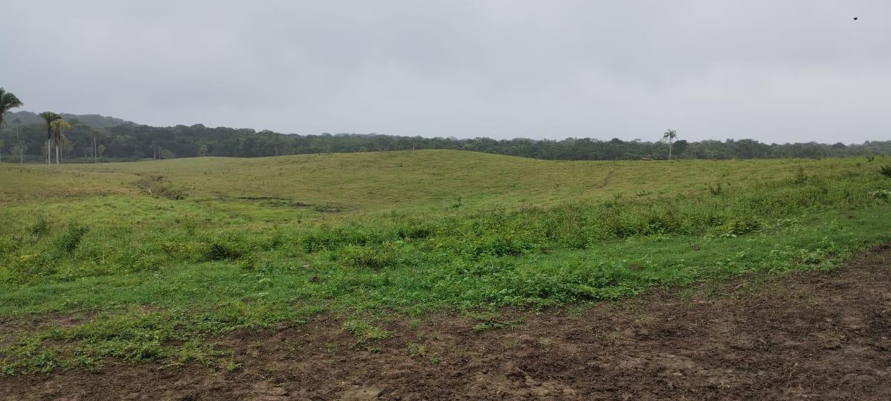 Propriedade rural em Registro — 653 ha — foto 1 de 12
