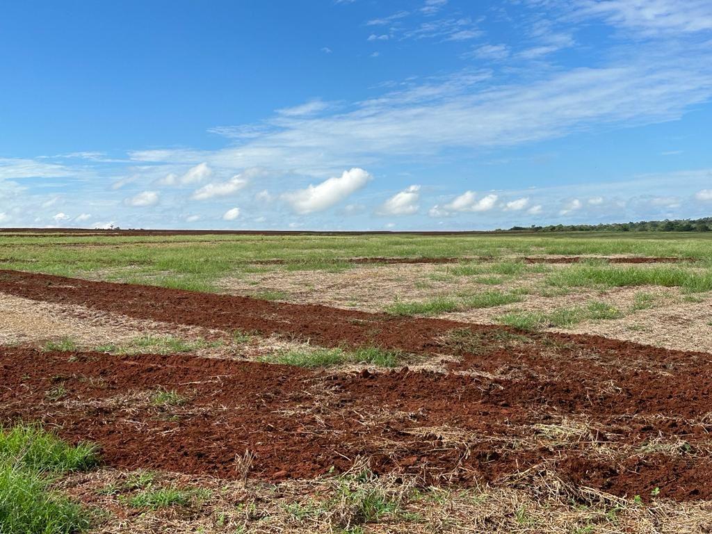 Propriedade rural em Darcinópolis — 1.935 ha — foto 1 de 12