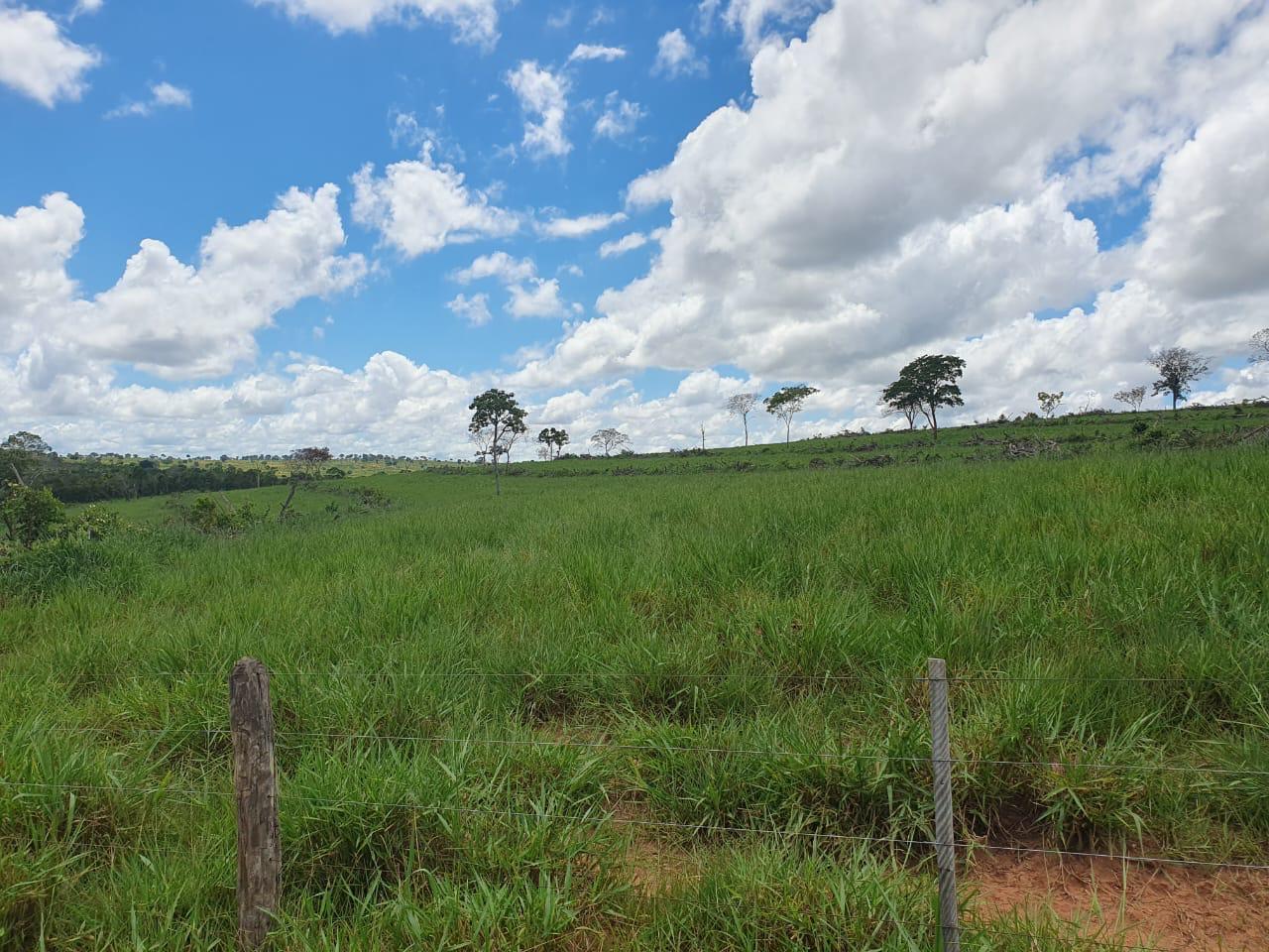 Propriedade rural em Camapuã — 1.285 ha — foto 1 de 12