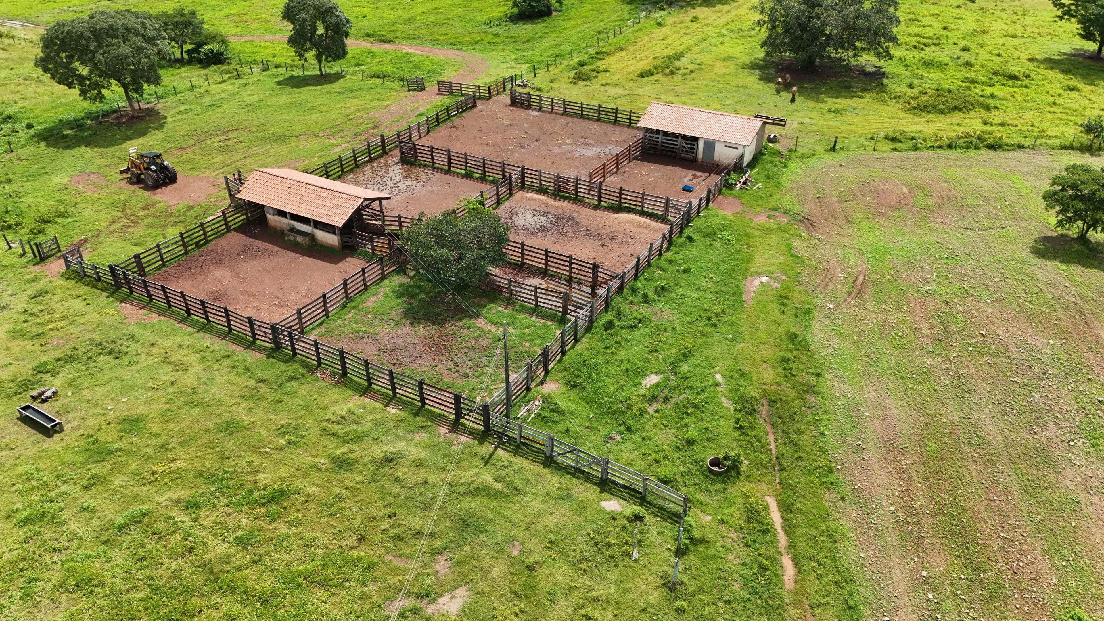Propriedade rural em Ananás — 1.694 ha — foto 1 de 12