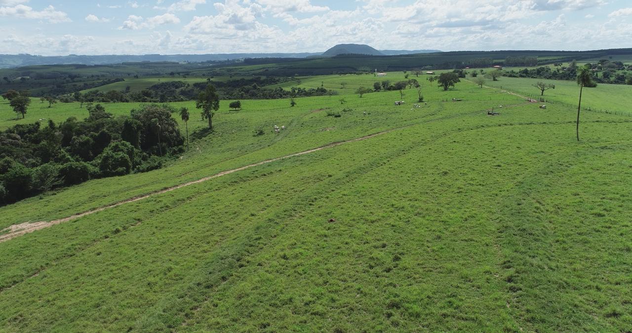 Propriedade rural em Bofete — 266 ha — foto 1 de 12