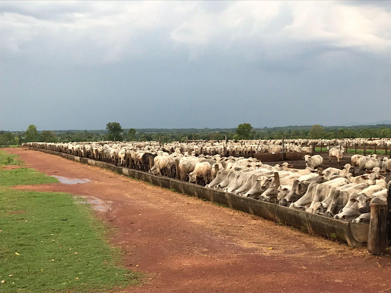 Propriedade rural em Nova Crixás — 3.872 ha — foto 1 de 12