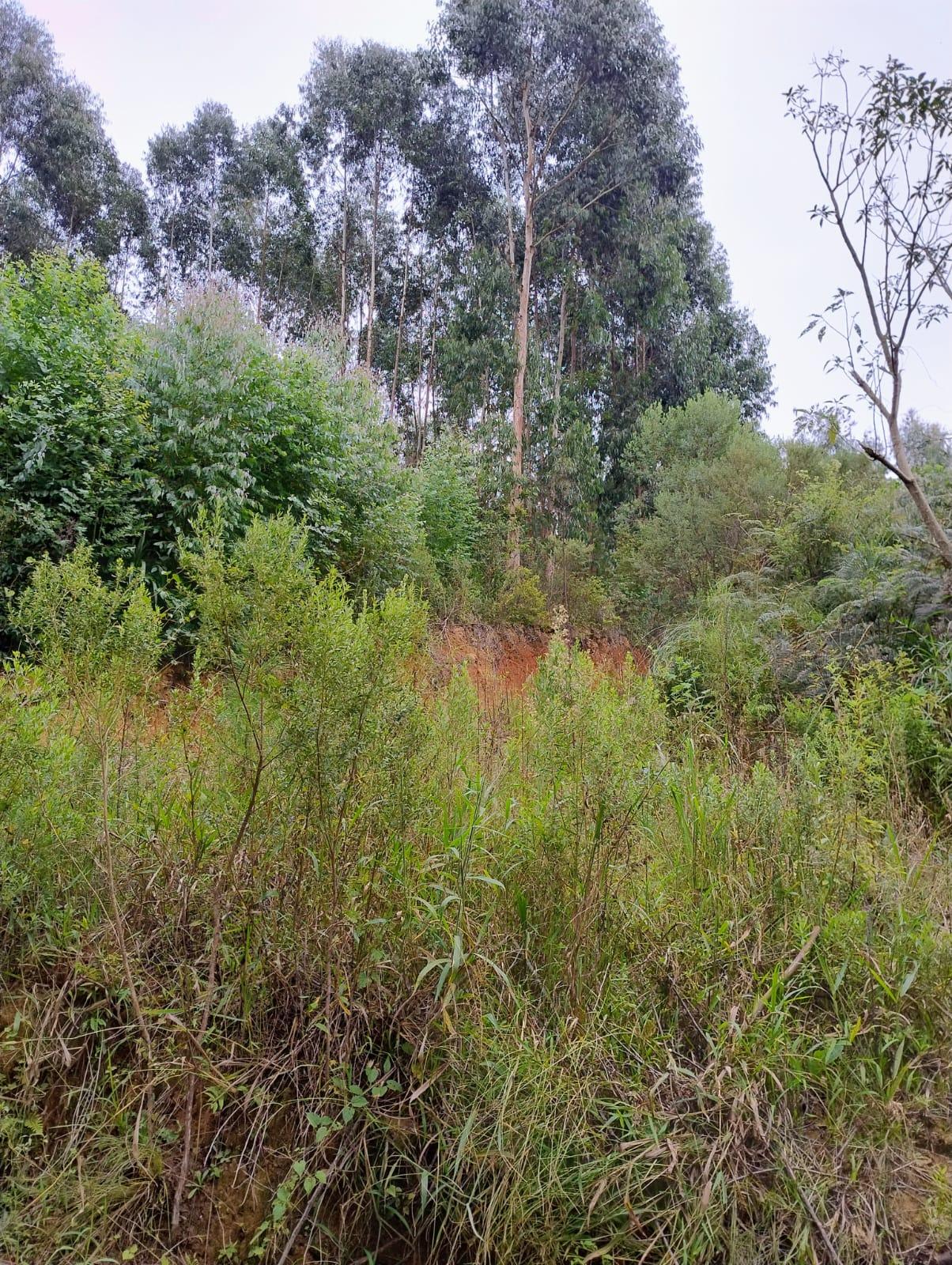 Propriedade rural em Quitandinha — 1 ha — foto 1 de 9