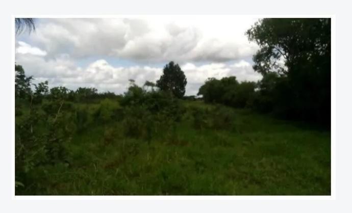 Propriedade rural em Amélia Rodrigues — 3 ha — foto 1 de 12