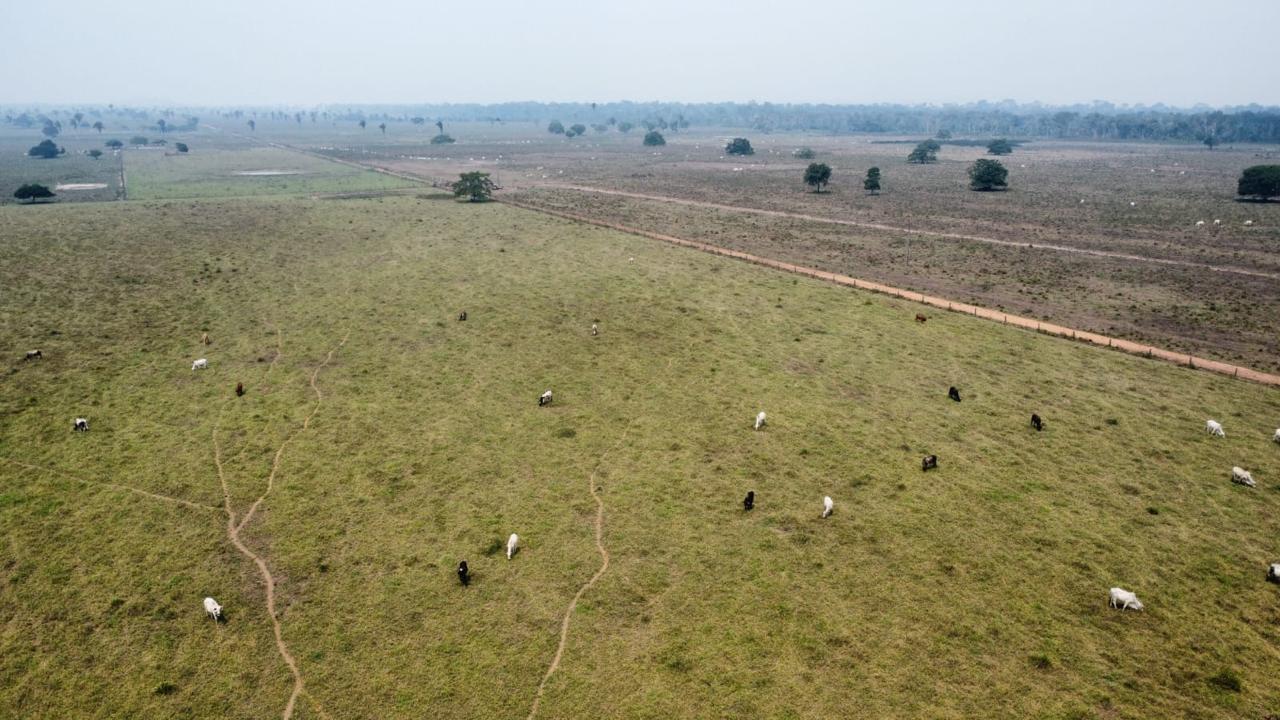 Propriedade rural em Araguaína — 2.000 ha — foto 1 de 12