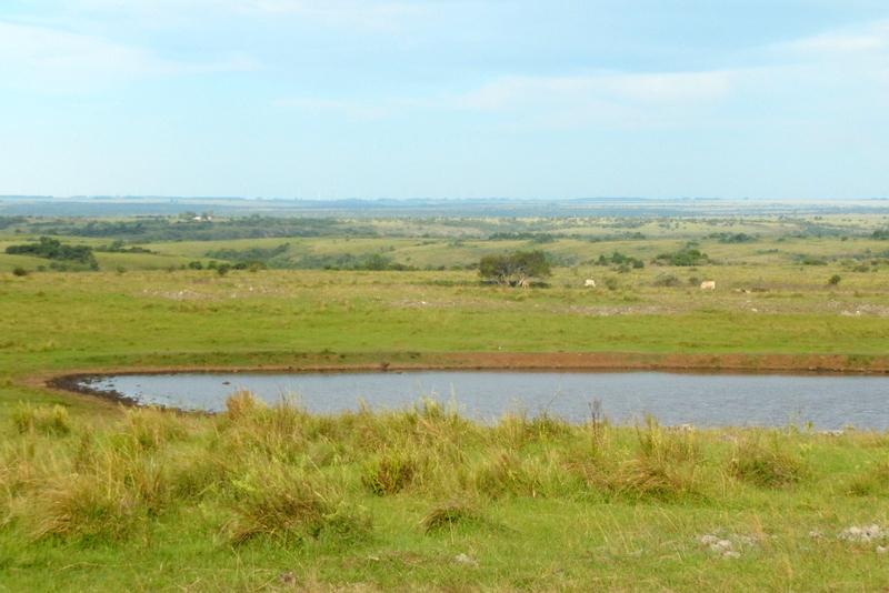 Propriedade rural em Quaraí — 4.563 hectares — foto 1 de 12
