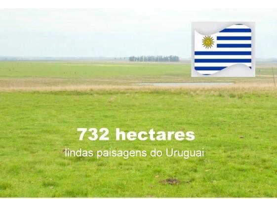 Propriedade rural em Quaraí — 732 hectares — foto 1 de 12