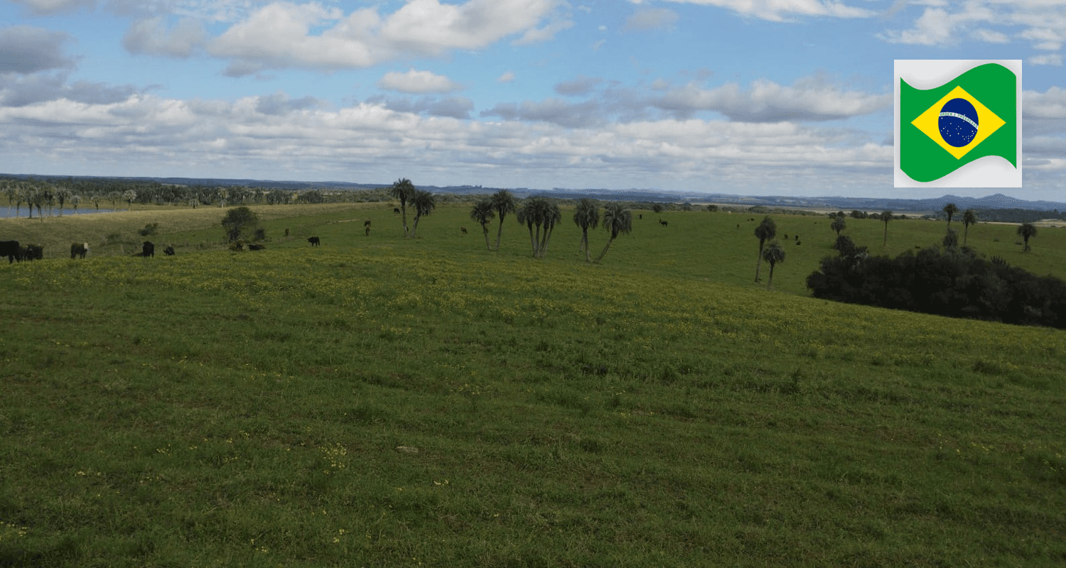 Propriedade rural em Barra do Ribeiro — 700 hectares — foto 1 de 12