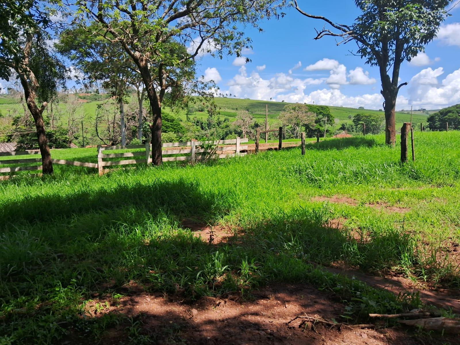Propriedade rural em Franca — 107 hectares — foto 1 de 5
