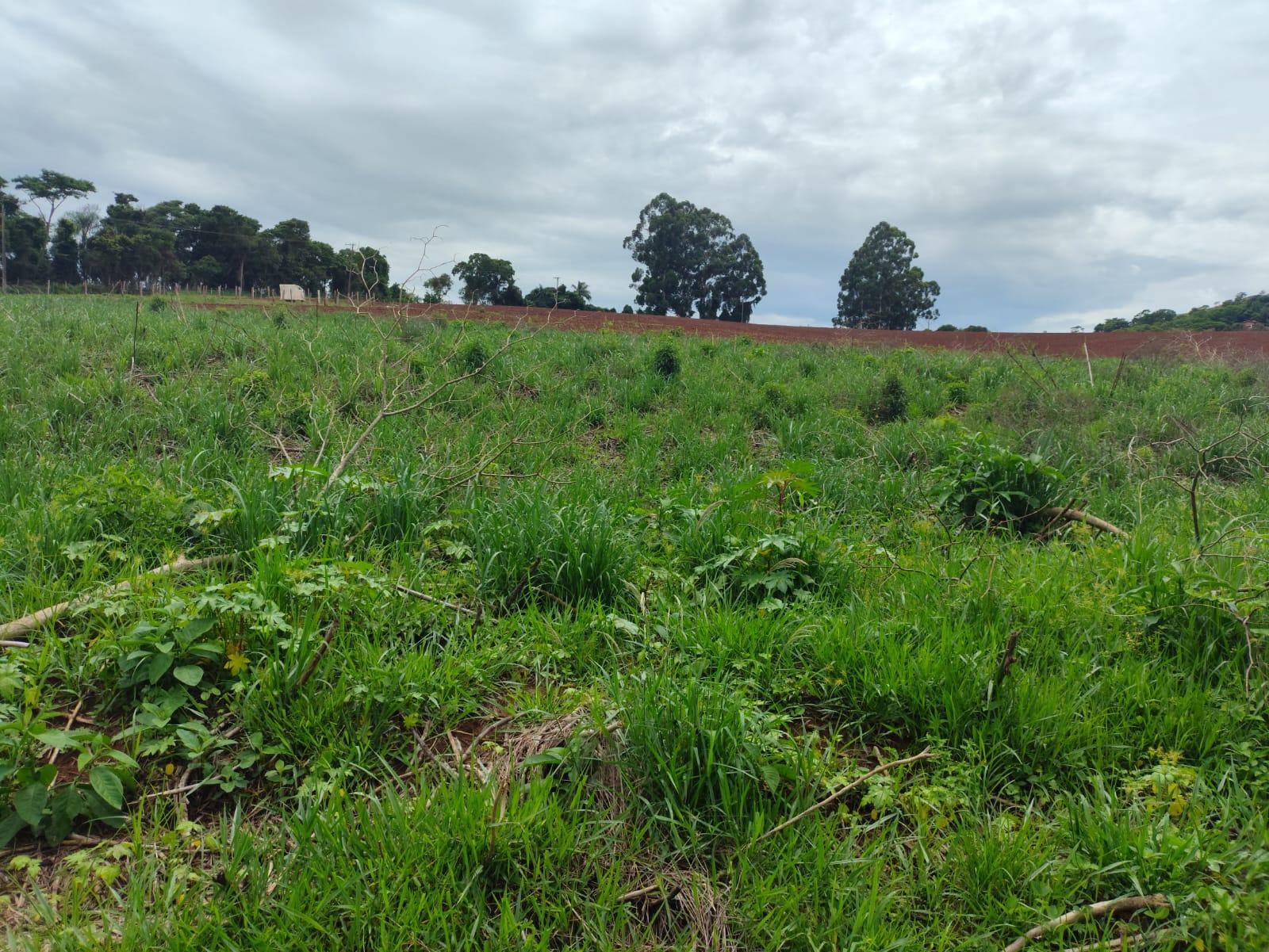 Propriedade rural em Socorro — 1 ha — foto 1 de 6