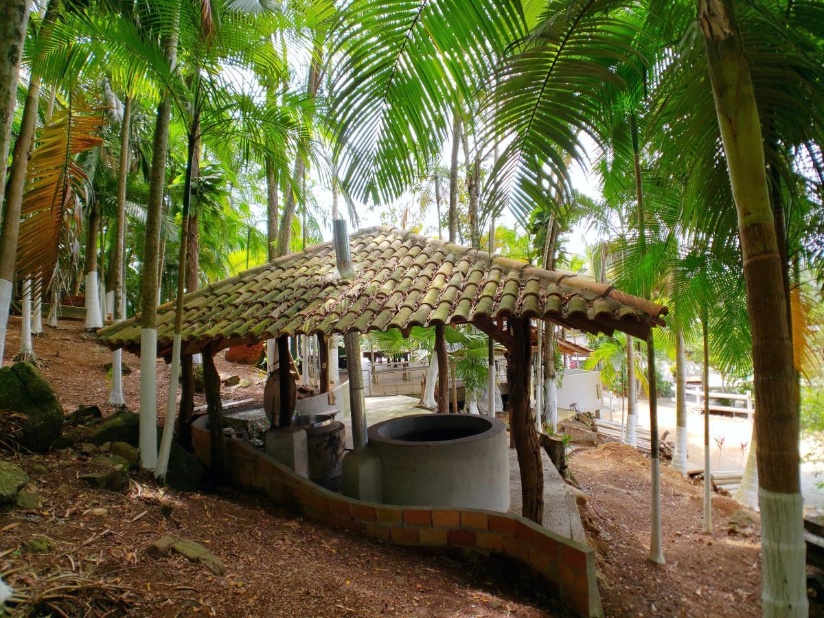 Propriedade rural em Massaranduba — 30 hectares — foto 1 de 11