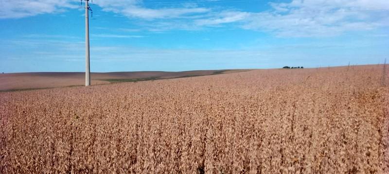 Propriedade rural em Bagé — 3.000 ha — foto 1 de 12