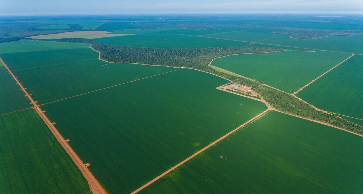 Propriedade rural em Sorriso — 73 ha — foto 1 de 2