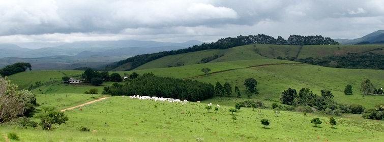 Propriedade rural em Sorriso — 216 ha — foto 1 de 2