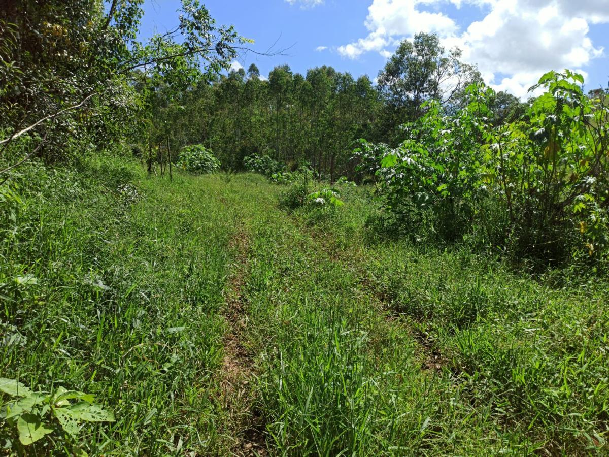 Propriedade rural em Lagoinha — 15 ha — foto 1 de 12