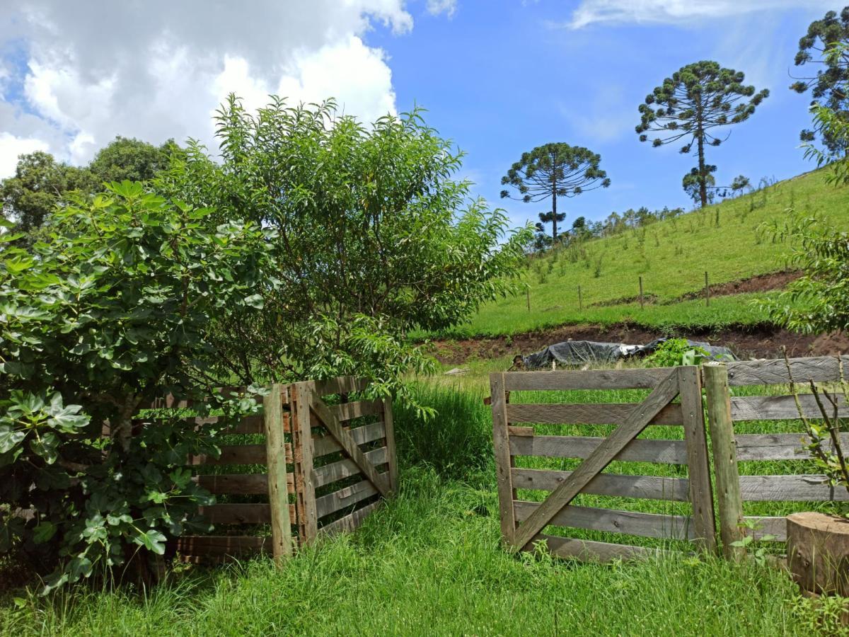 Propriedade rural em Cunha — 31 ha — foto 1 de 12