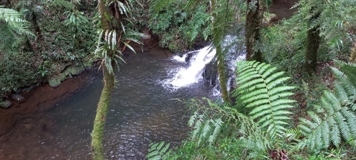 Propriedade rural em Cunha — 31 ha — foto 1 de 12