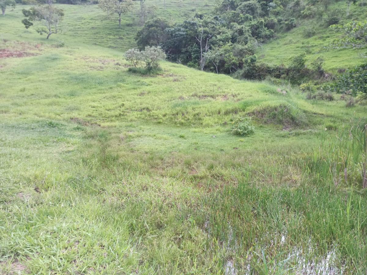 Propriedade rural em Lorena — 31 ha — foto 1 de 12