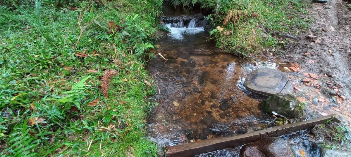 Propriedade rural em Cunha — 27 ha — foto 1 de 12