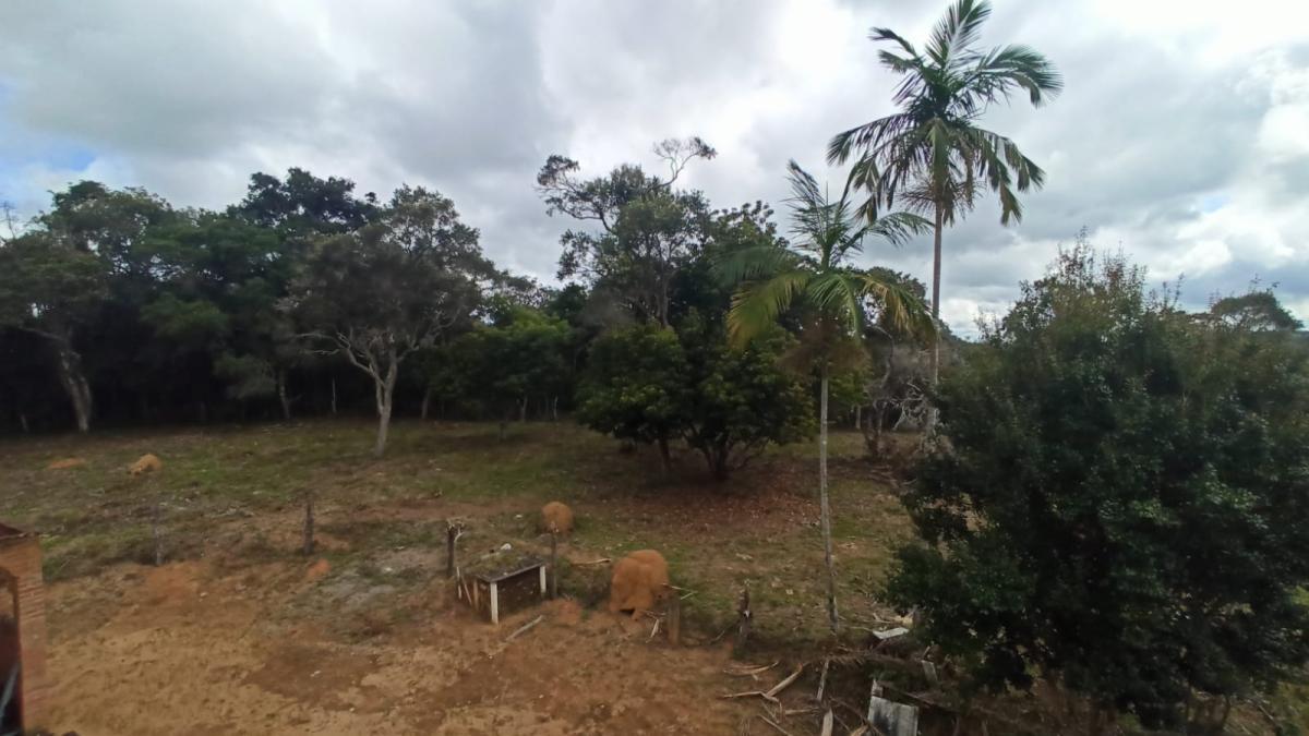 Propriedade rural em Cunha — 10 ha — foto 1 de 12