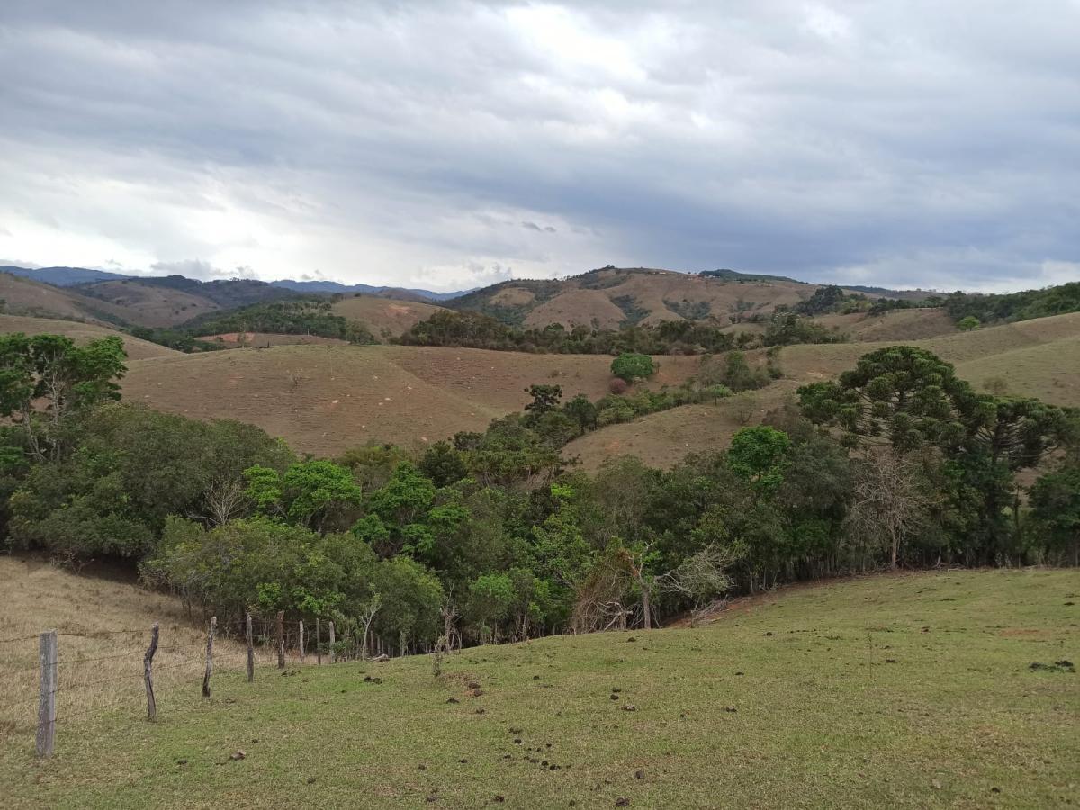Propriedade rural em Cunha — 31 ha — foto 1 de 12