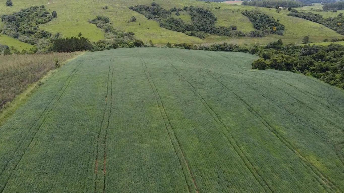 Propriedade rural em Itapetininga — 12 ha — foto 1 de 12