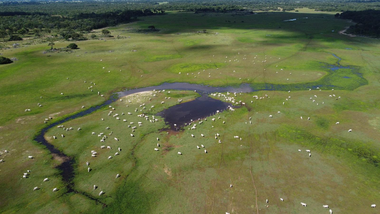 Propriedade rural em Corumbá — 10.672 ha — foto 1 de 8