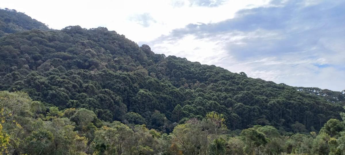 Propriedade rural em Marmelópolis — 27 ha — foto 1 de 12