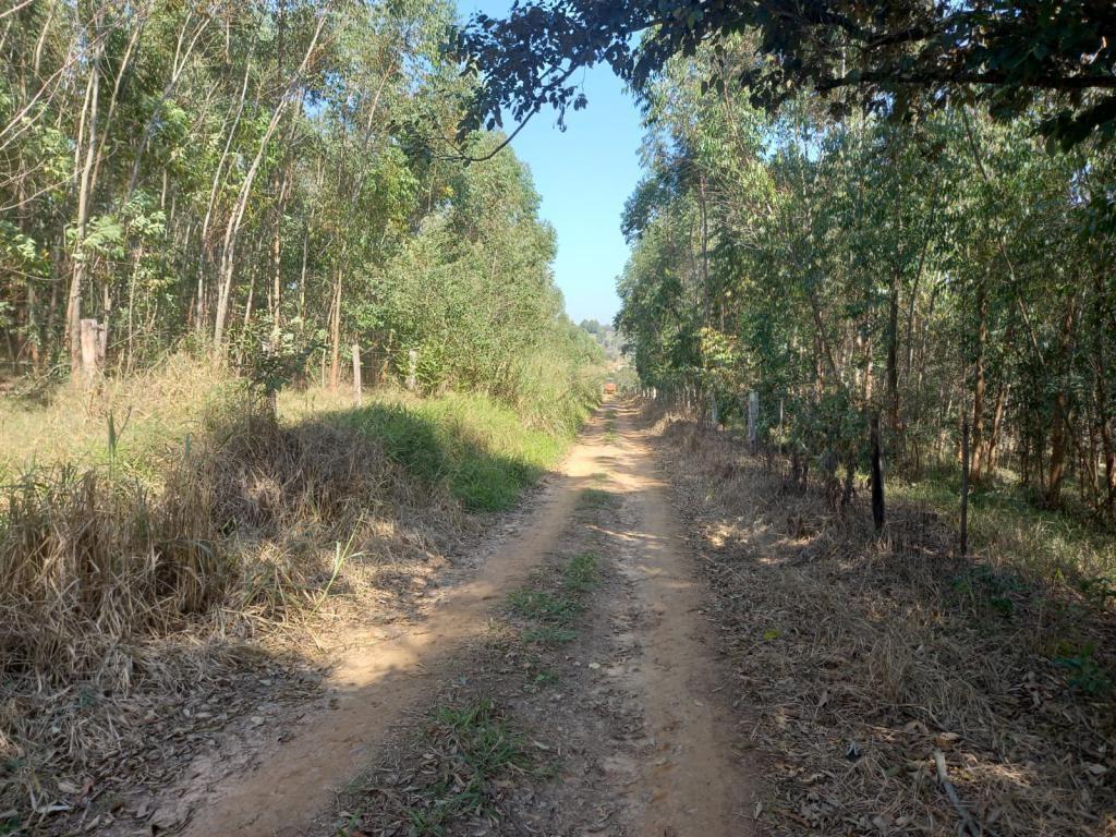 Propriedade rural em Itapetininga — 19 ha — foto 1 de 12