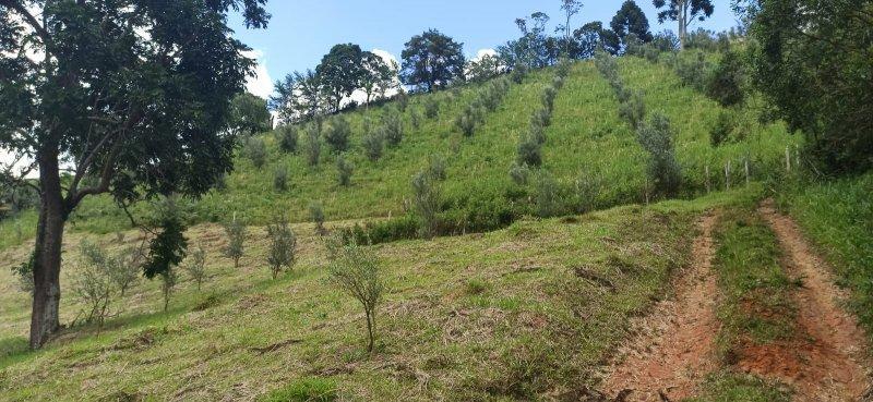 Propriedade rural em Cristina — 33 ha — foto 1 de 2