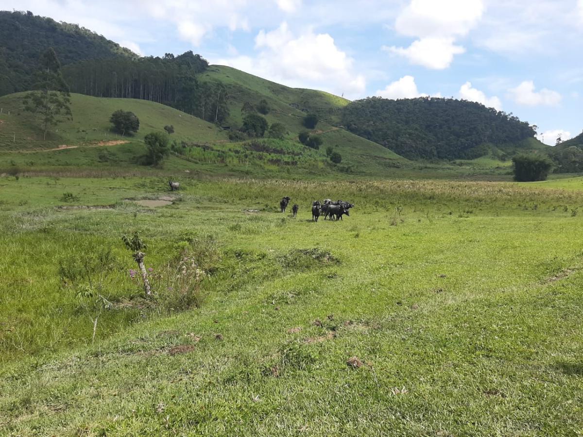 Propriedade rural em Paraibuna — 353 ha — foto 1 de 12