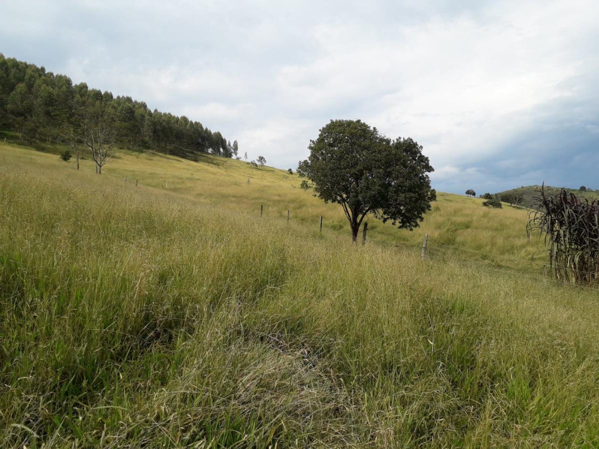 Propriedade rural em Cunha — 44 ha — foto 1 de 12