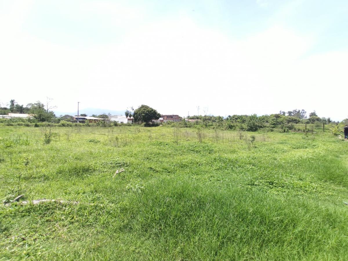 Propriedade rural em Canas — 17 ha — foto 1 de 12
