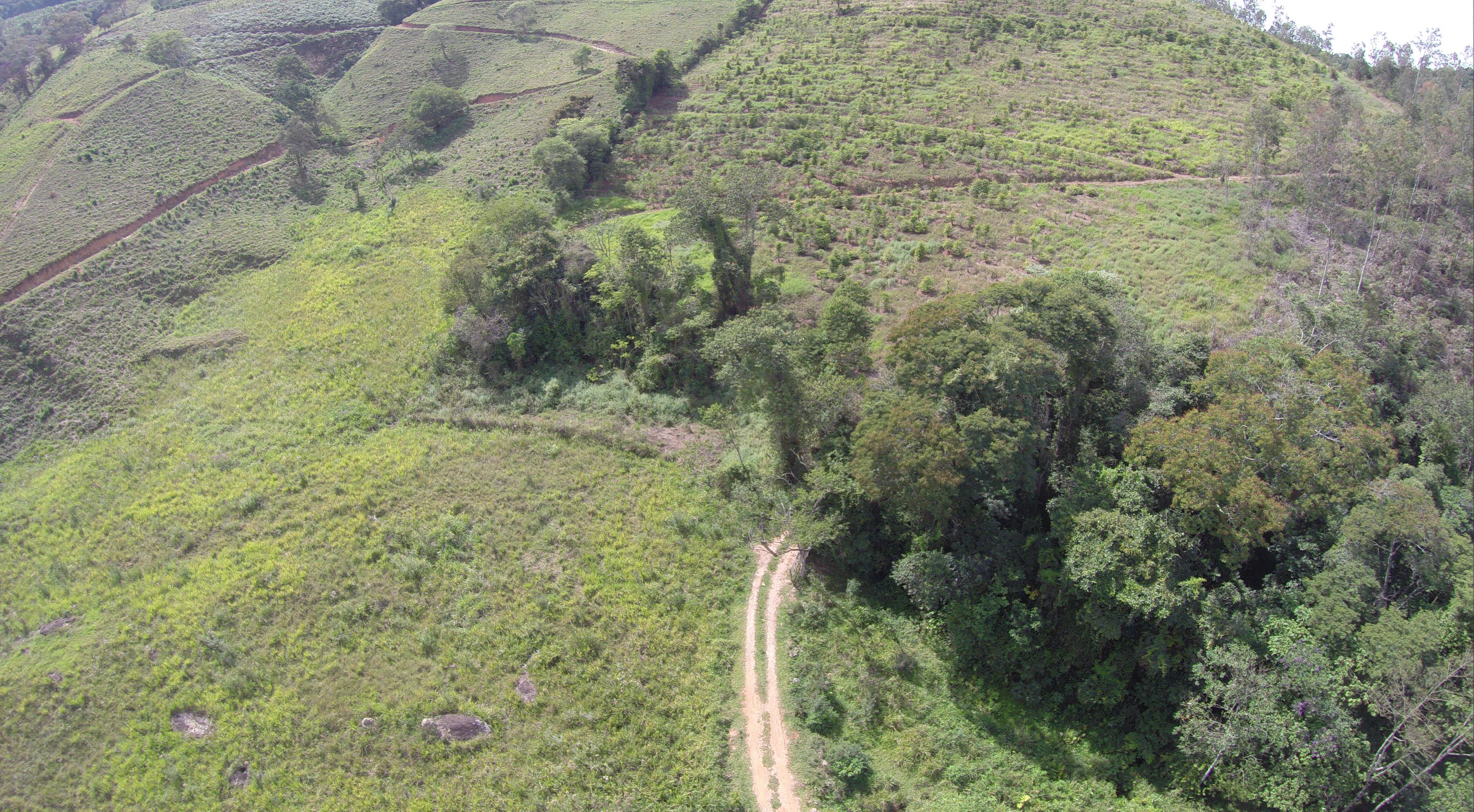 Propriedade rural em Olímpio Noronha — 54 ha — foto 1 de 2