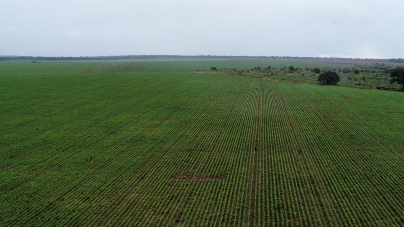 Propriedade rural em Araguaína — 3.200 ha — foto 1 de 12